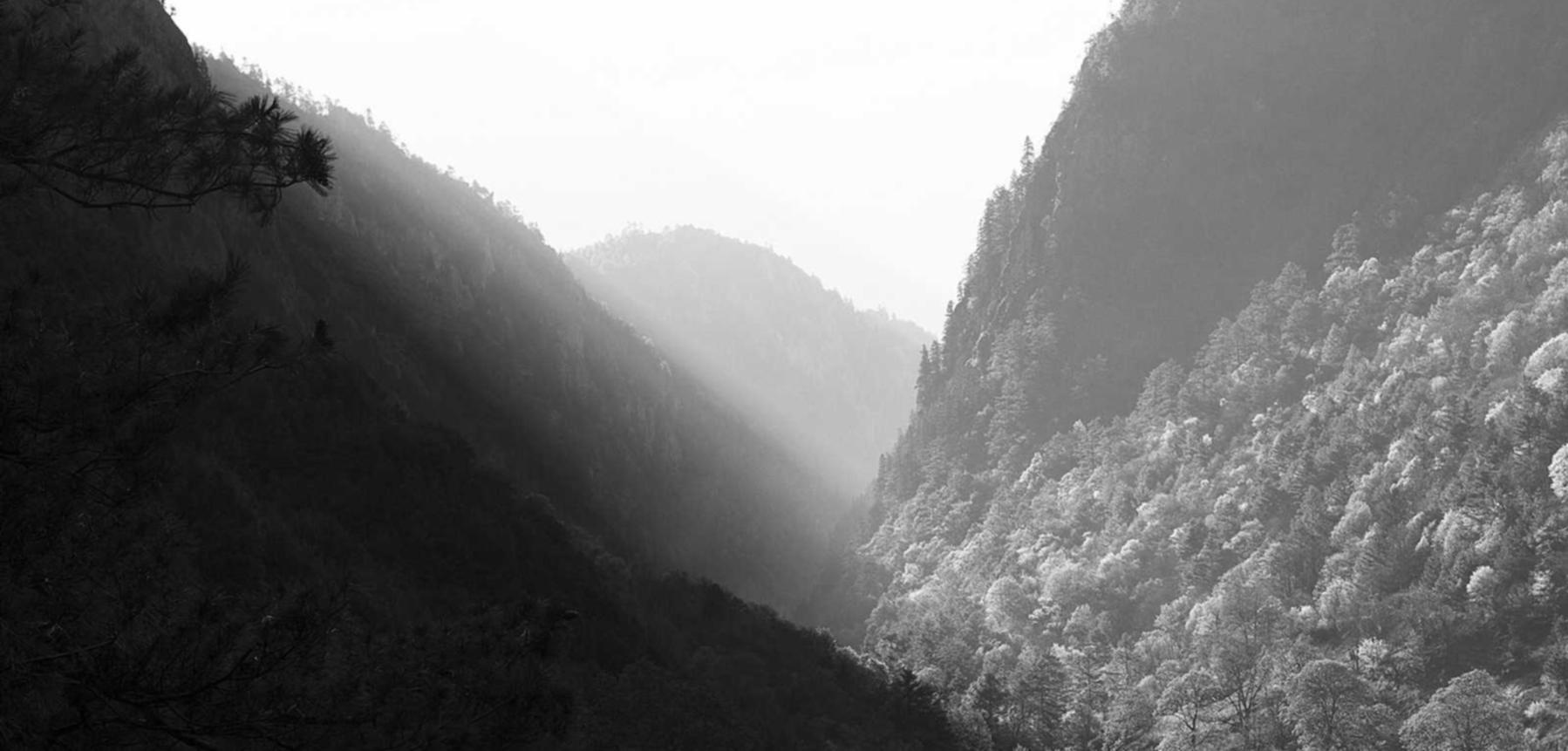 三五财富卡实名账号:荥阳商标注册的代理申请