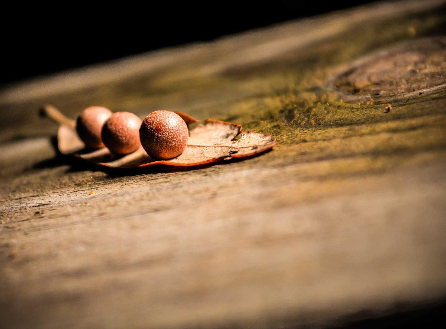 方盒爱国中支:上城代理注册商标价格要求