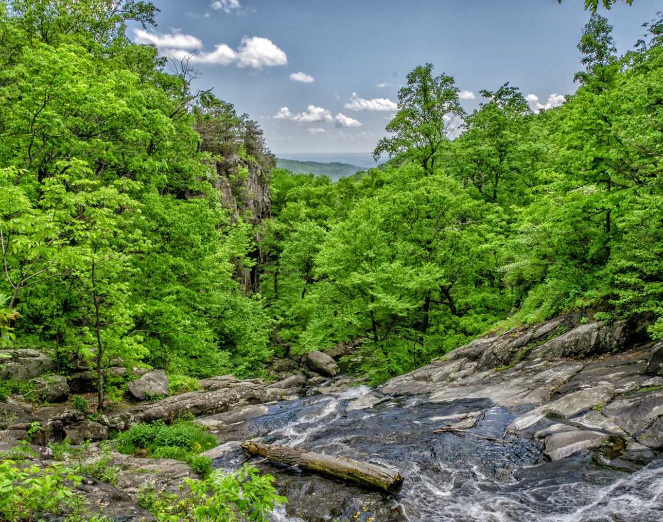 铁塔猫酸奶爆珠（粗）：南通工商注册代理需要多久