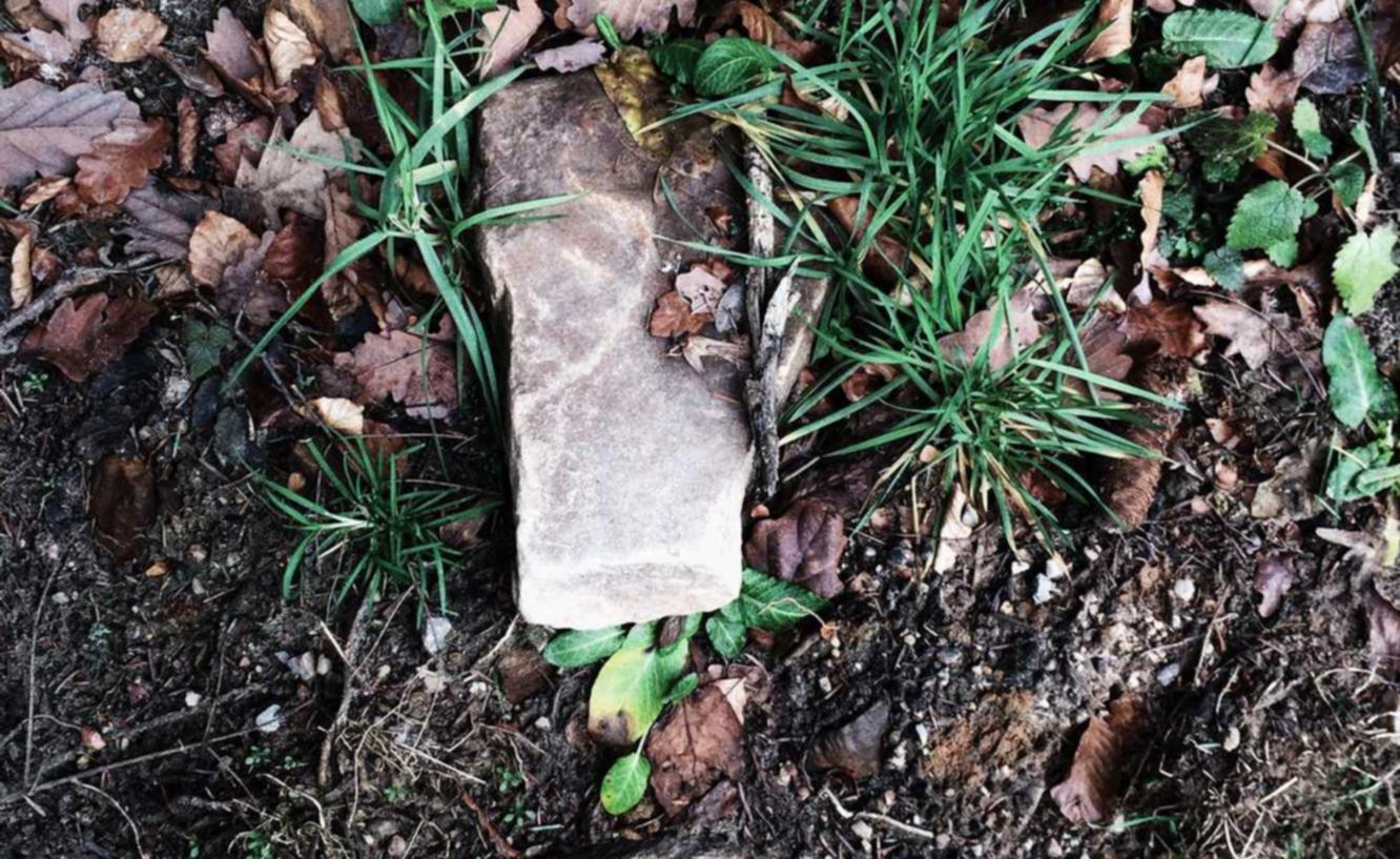 全新GPU版本TRX波场靓号地址生成器-程序 星链剧场