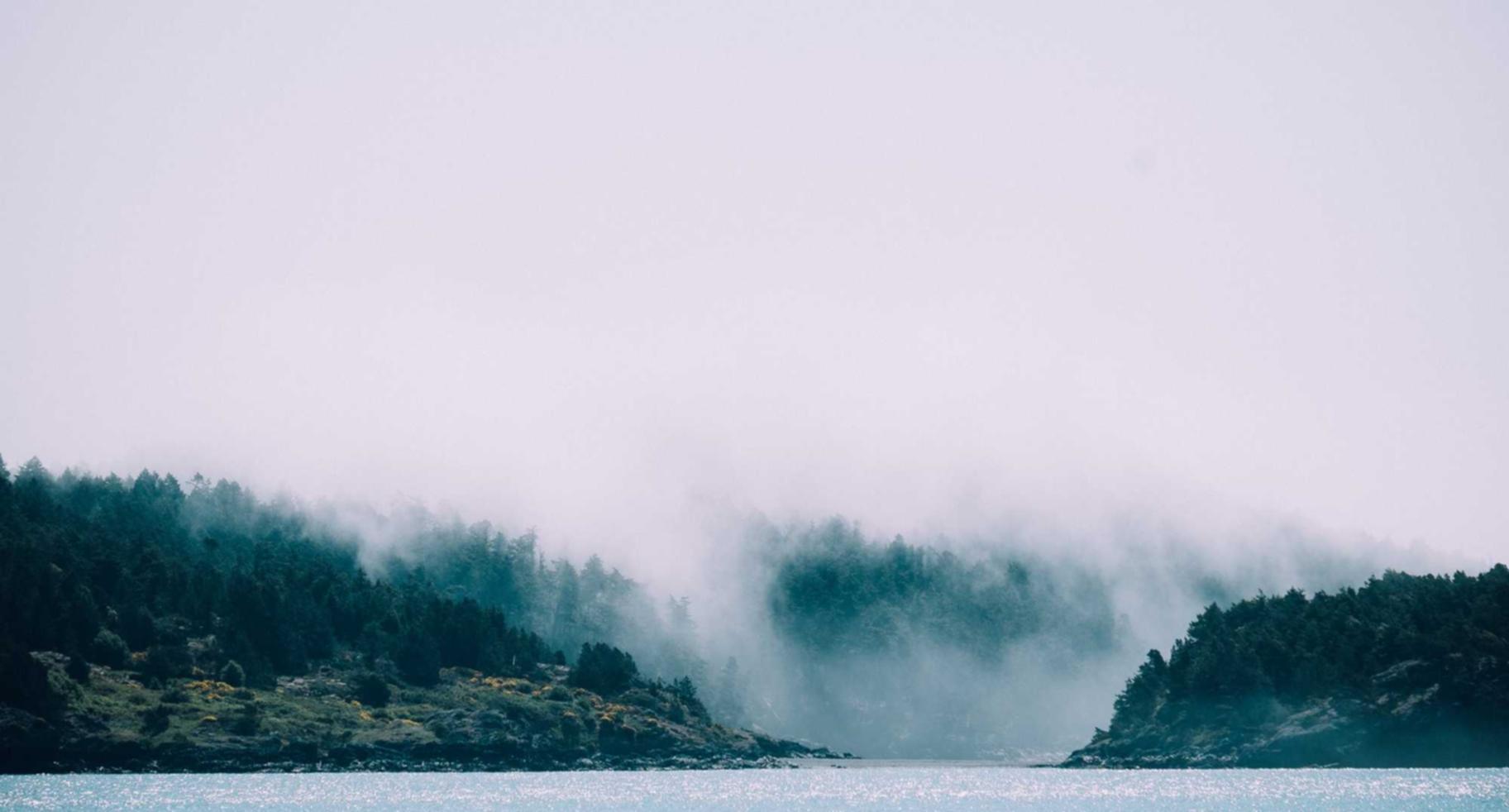 技术支持辅助的研发和资源投入 