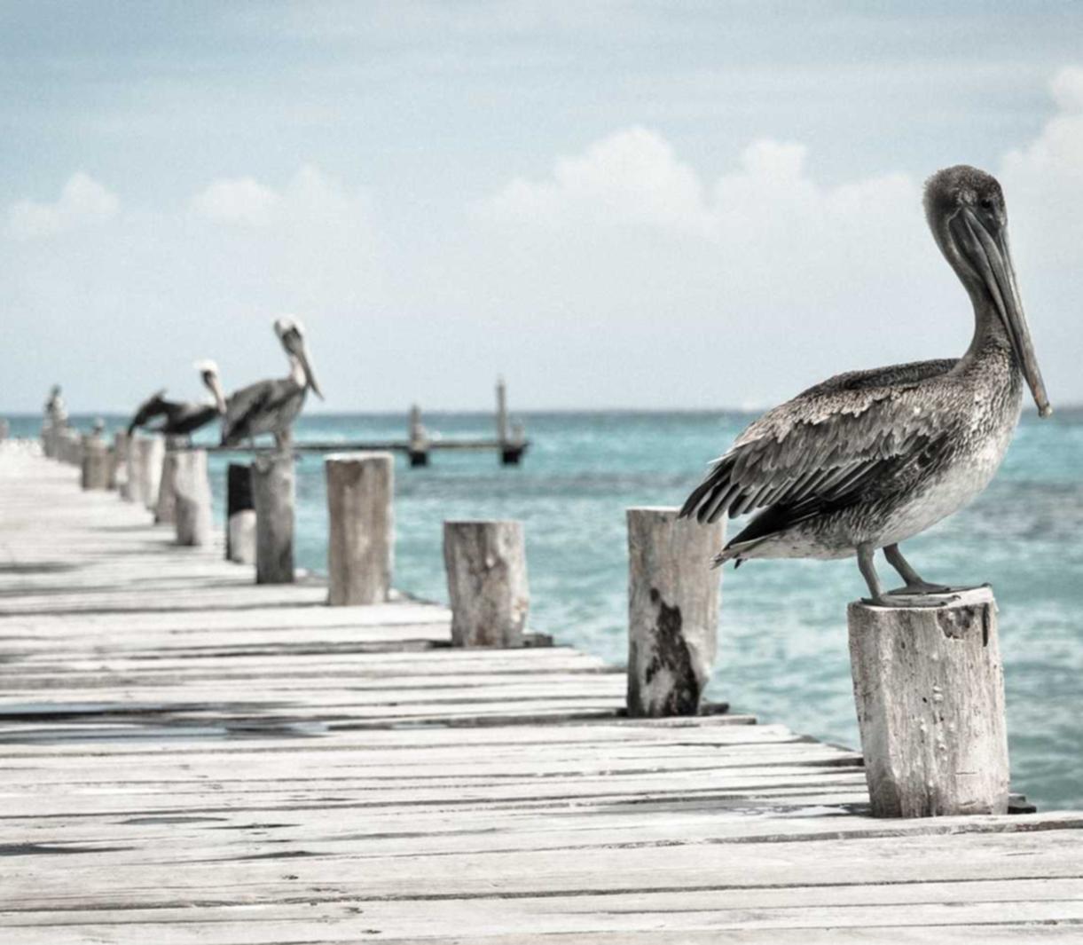 腾讯云实名账号：如果详情下载教程APP打开