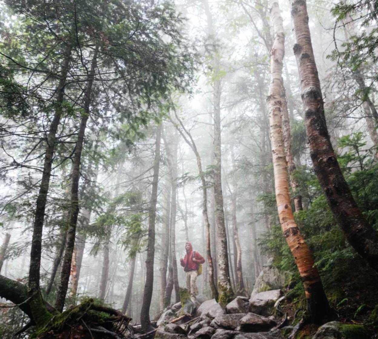 SMM Matrix-社交媒体营销系统面板搭建部署 星河剧场