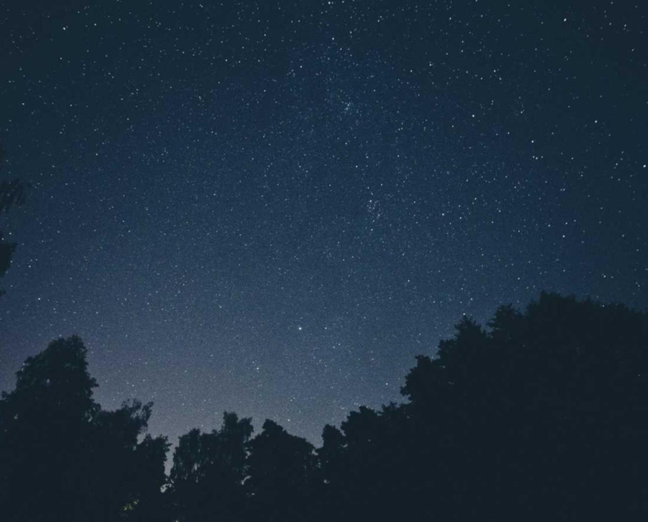 如何使SEO和文本广告紧密结合