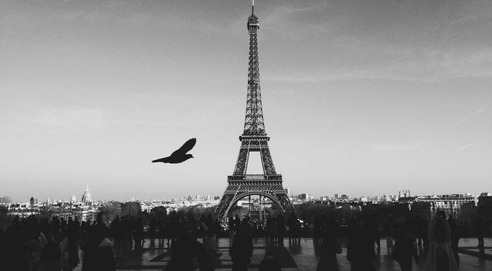 cc网页端|传媒APP污详情下载教程