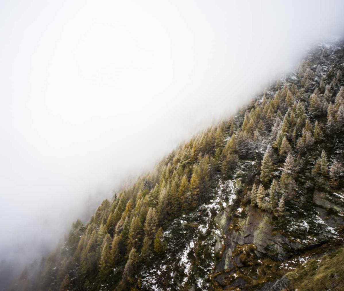 微信号新号白号:旅游报社代理平台