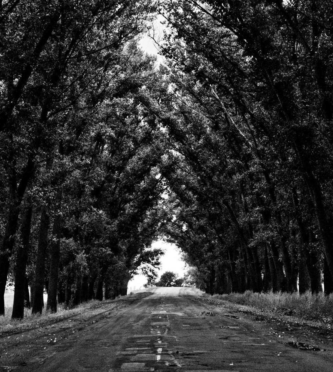 DDOS测试|城市生活平台代理