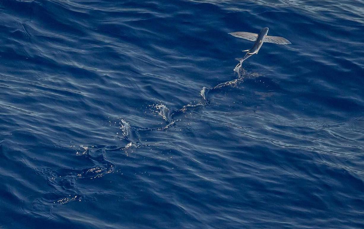 实名物联卡:西湖合伙企业注册代理公司