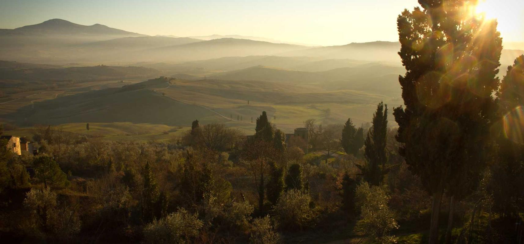 野草云实名账号:详情下载教程迪士尼乐园app