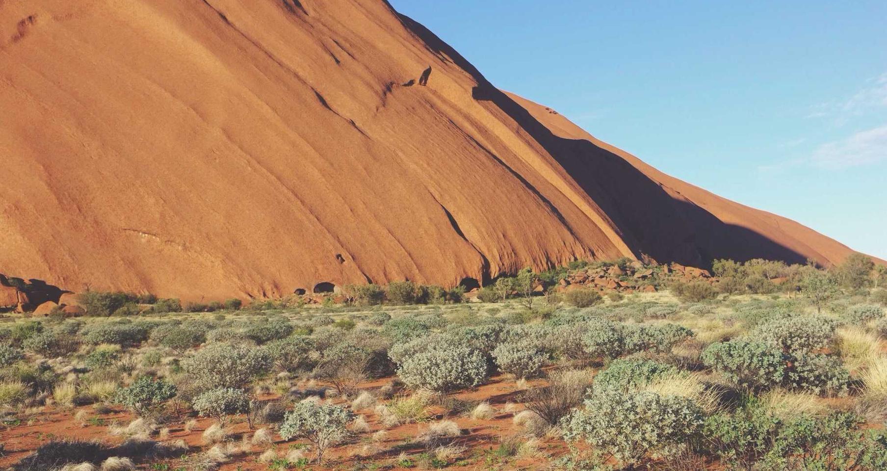 技术支持背后:神话与现实