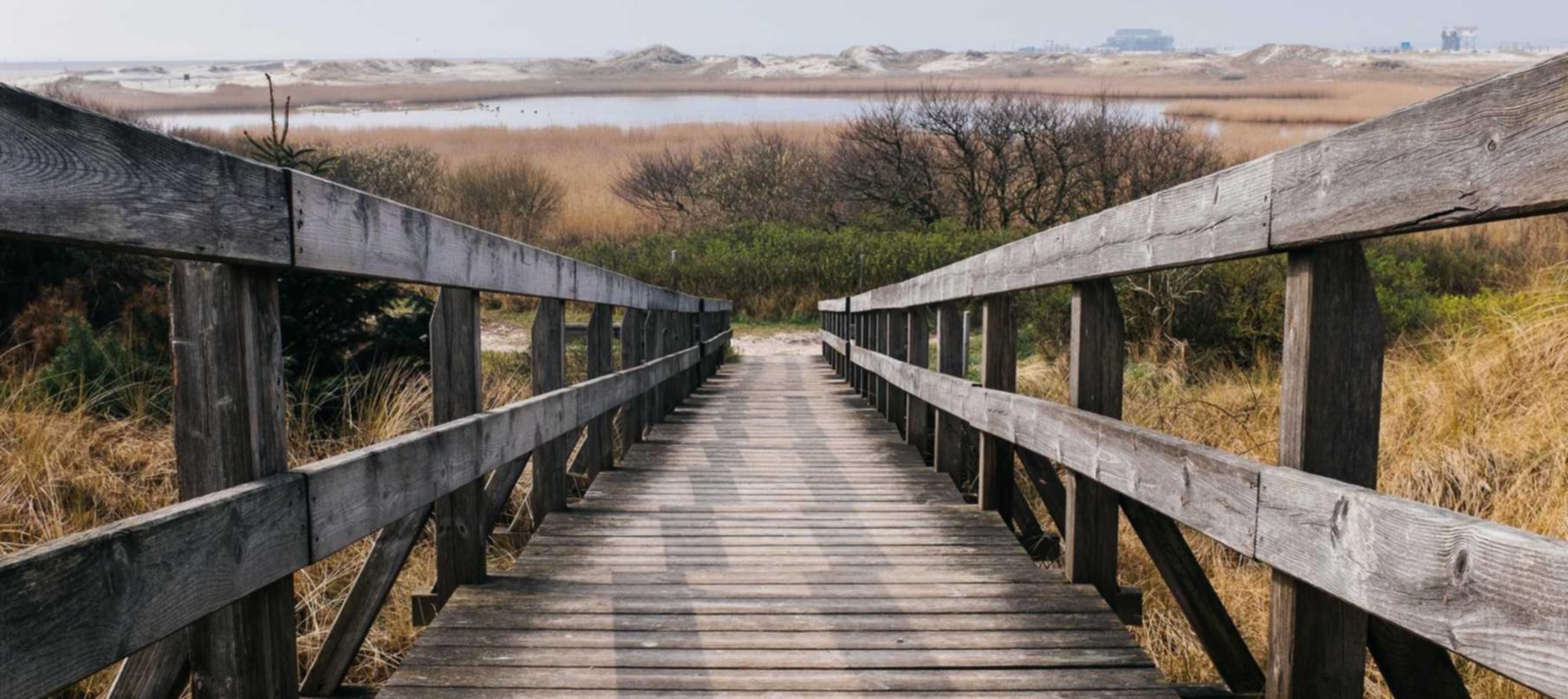 如何使用搜索隐私来保护用户隐私